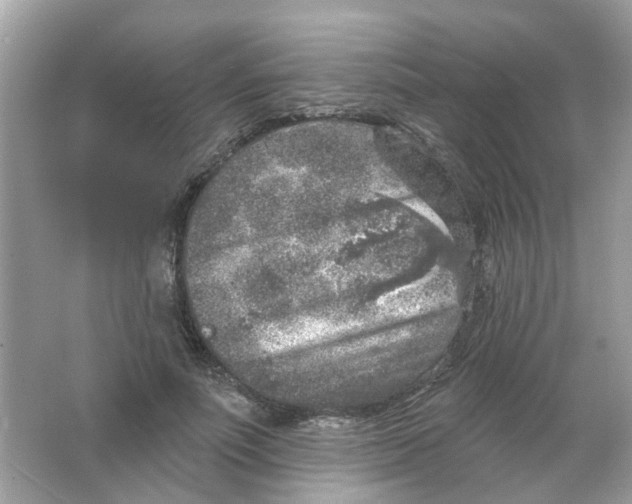 X0000065970691200603241914