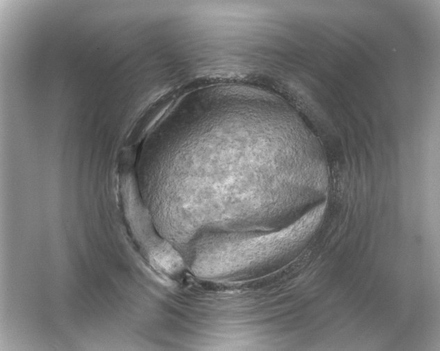 X0000065970692200603241913