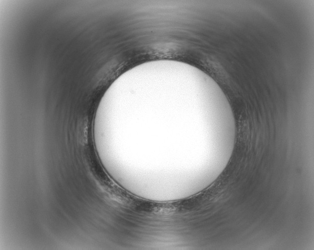 X0000065970694200603241913