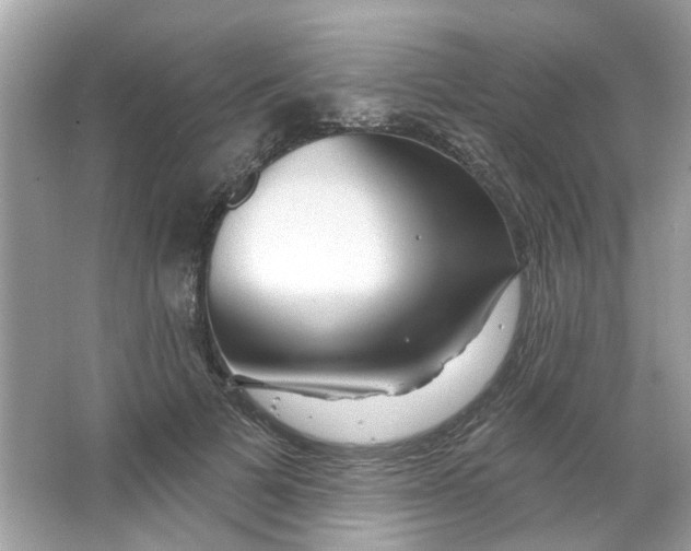 X0000065970697200603241913