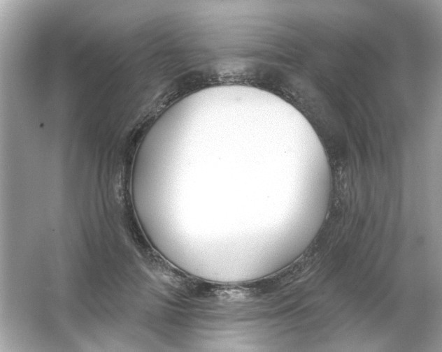 X0000065970698200603241913