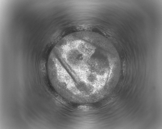 X0000065970699200603241913