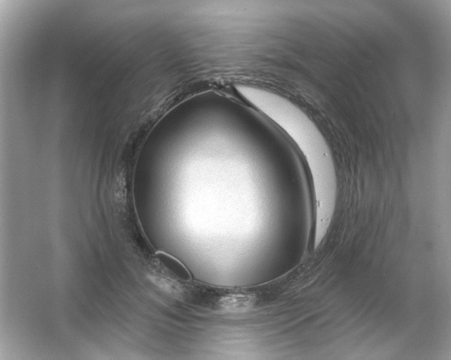 X0000065970700200603241913