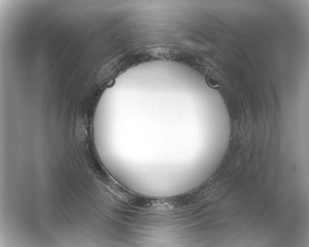 X0000065970702200603241913