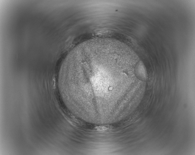 X0000065970703200603241913