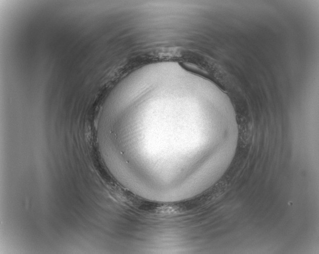 X0000065970704200603241913