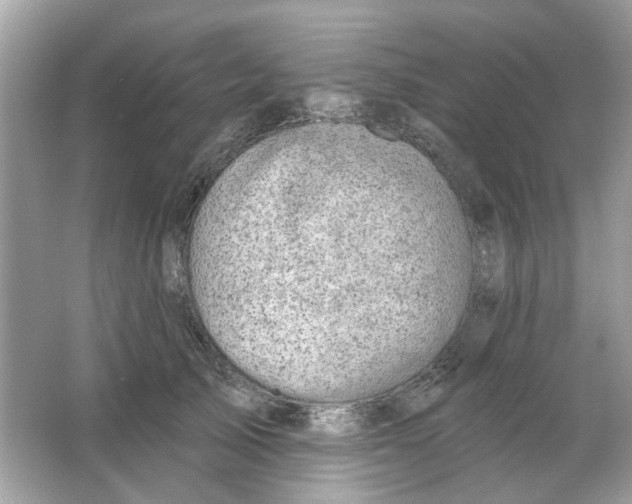 X0000065970705200603241913