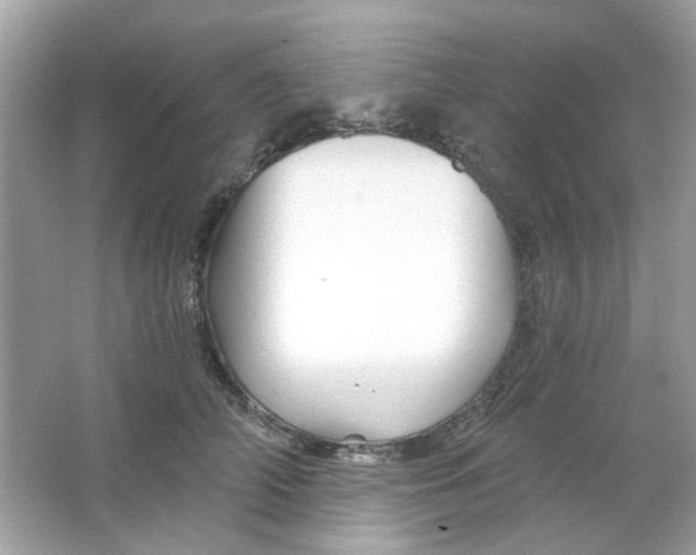 X0000065970706200603241913