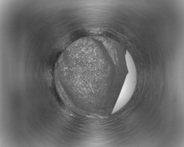 X0000065970707200603241913