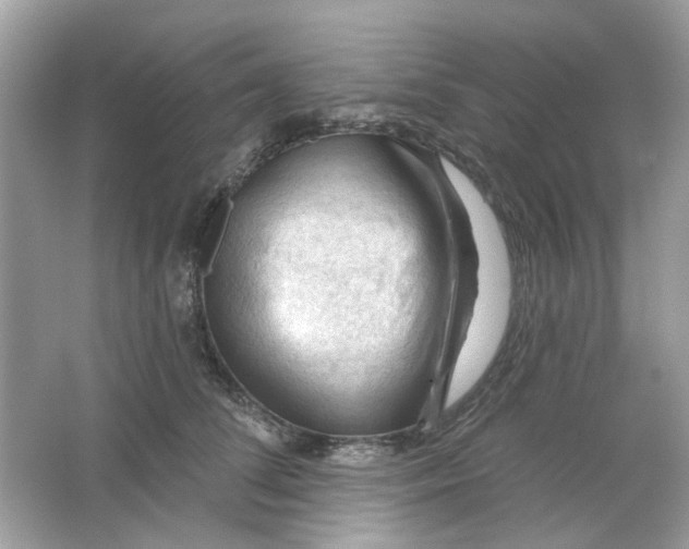 X0000065970708200603241913