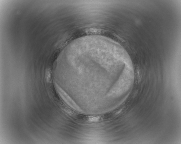 X0000065970709200603241913