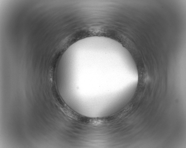 X0000065970710200603241913