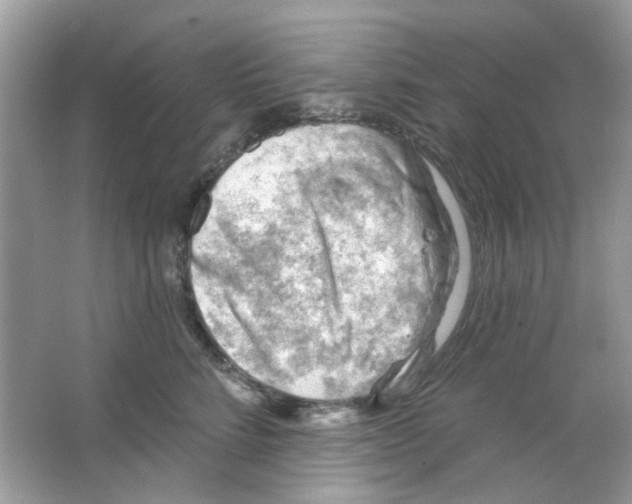 X0000065970712200603241913