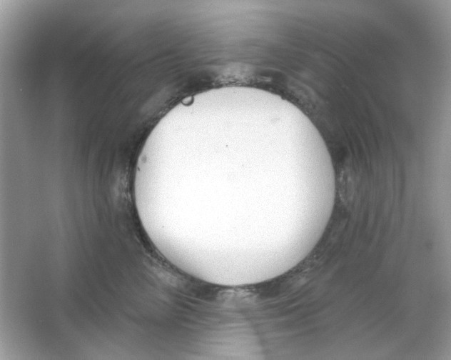 X0000065970714200603241913