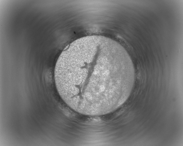 X0000065970715200603241913