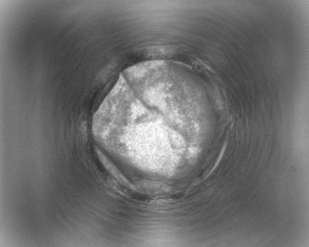 X0000065970716200603241913