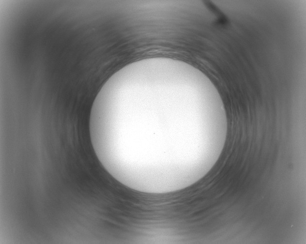 X0000065970717200603241913