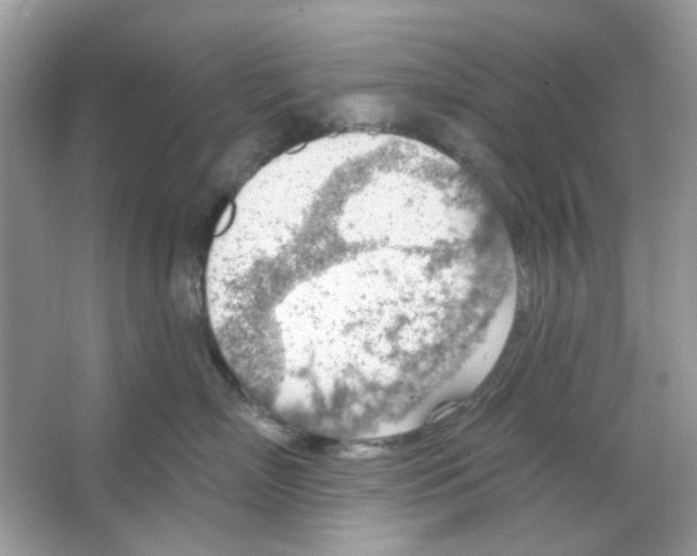 X0000065970718200603241913