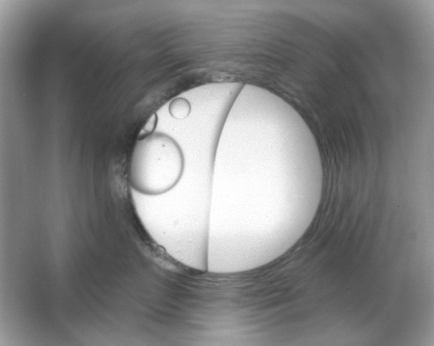 X0000065970719200603241913