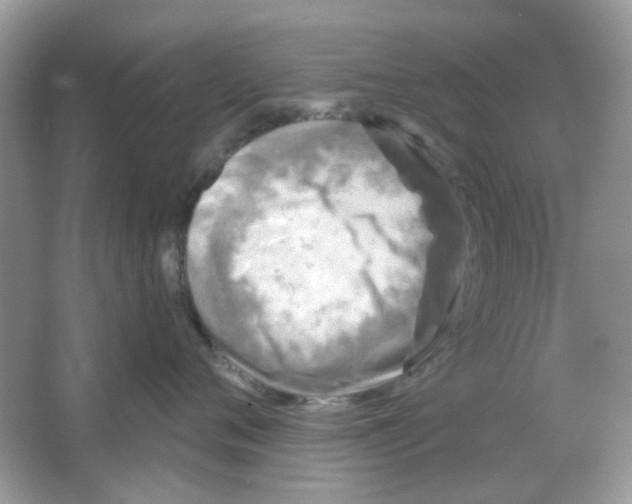 X0000065970720200603241913