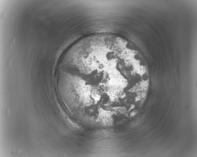 X0000065970721200603241912