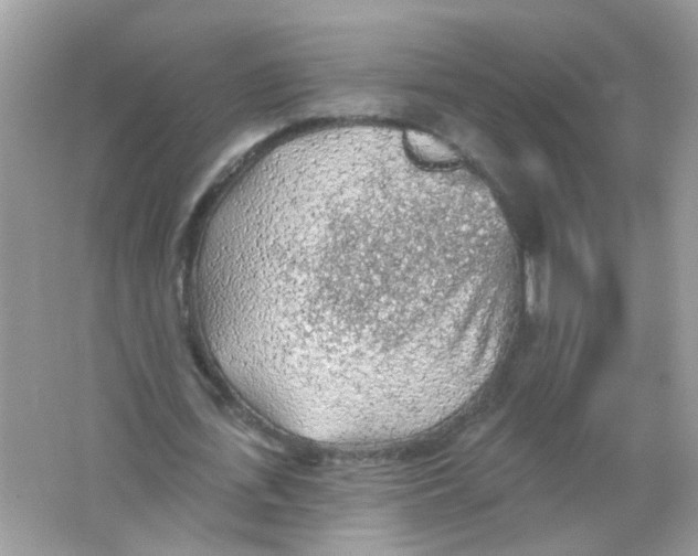 X0000065970723200603241912