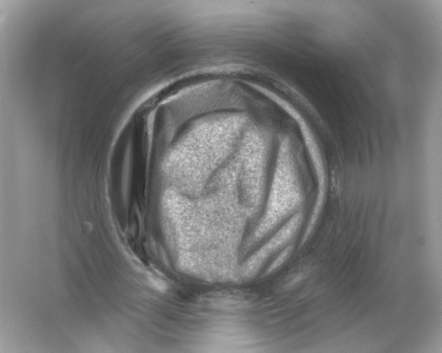 X0000065970724200603241912