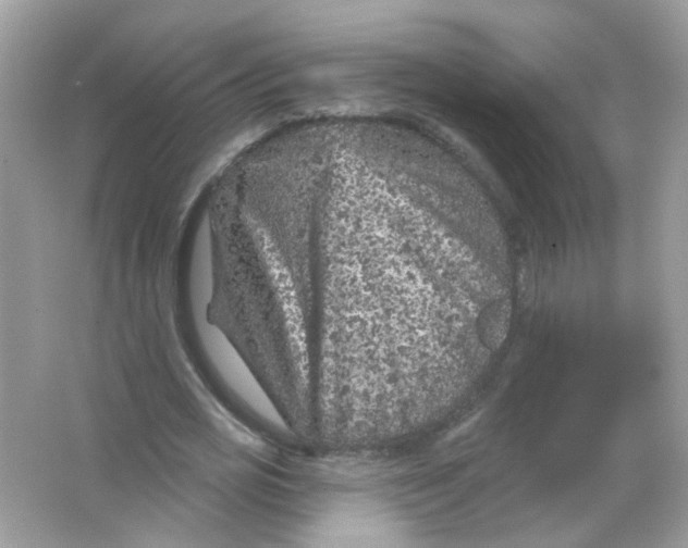 X0000065970725200603241912