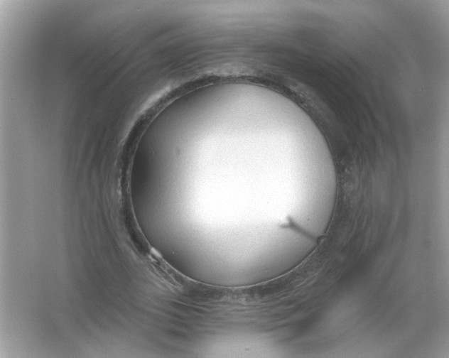 X0000065970727200603241912