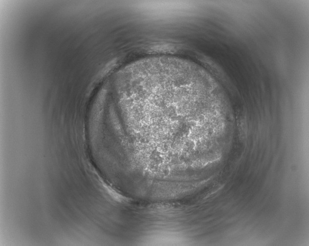 X0000065970729200603241912