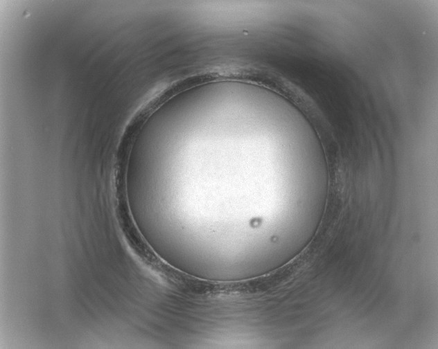 X0000065970730200603241912