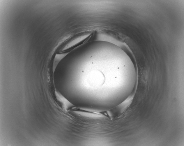 X0000065970731200603241912