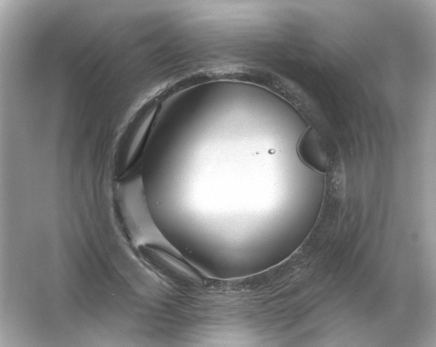 X0000065970732200603241912