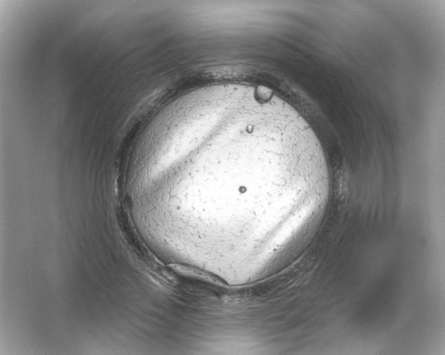 X0000065970733200603241912