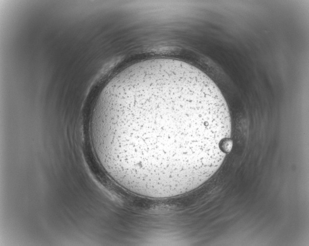 X0000065970734200603241912