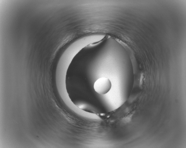 X0000065970735200603241912