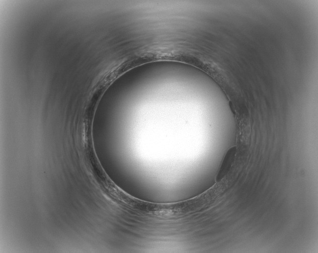 X0000065970740200603241913