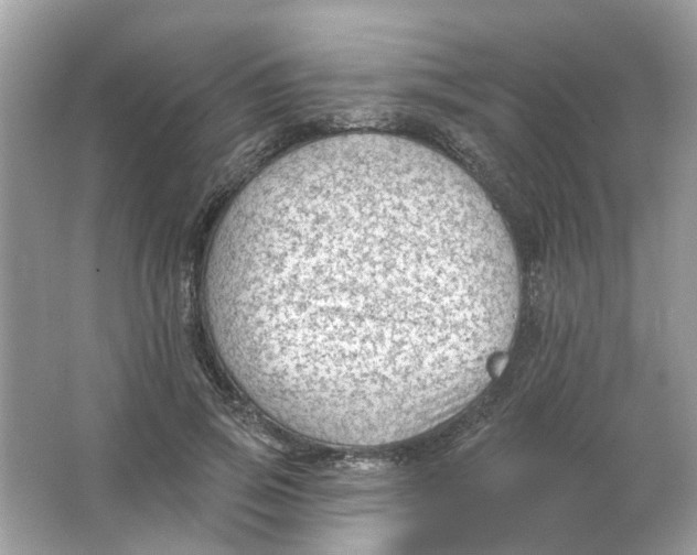 X0000065970741200603241913