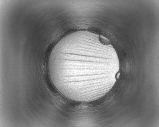 X0000065970743200603241913