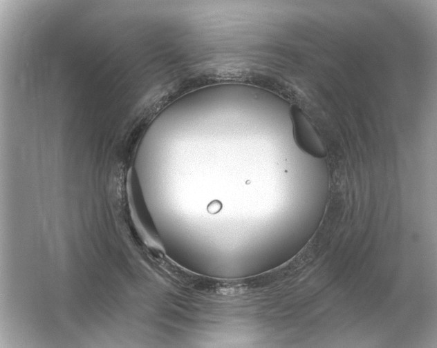 X0000065970744200603241913