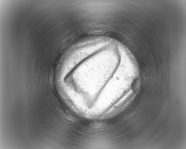 X0000065970745200603241913