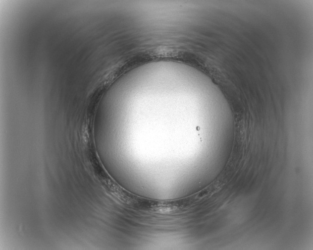 X0000065970746200603241913