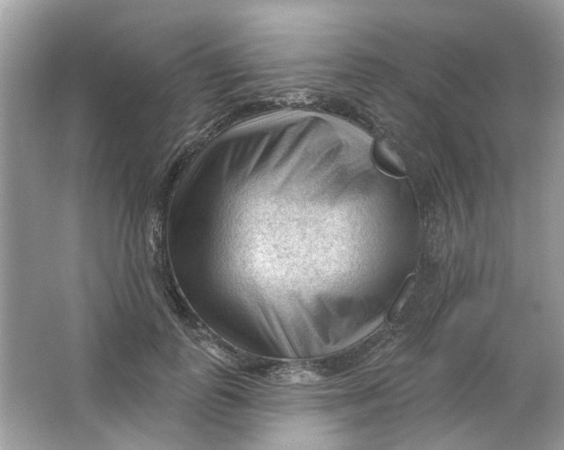 X0000065970747200603241913