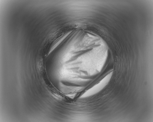 X0000065970748200603241913