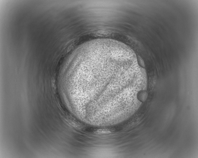 X0000065970749200603241913