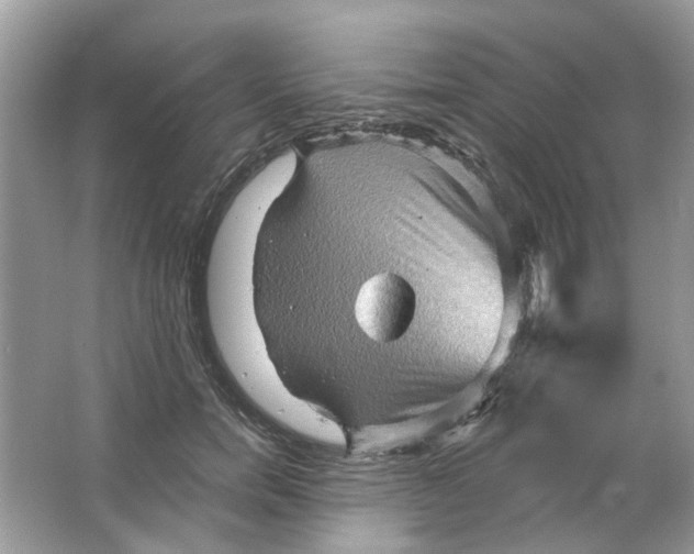 X0000065970750200603241913