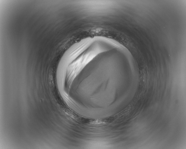 X0000065970754200603241913