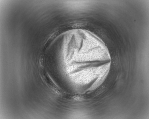 X0000065970755200603241913