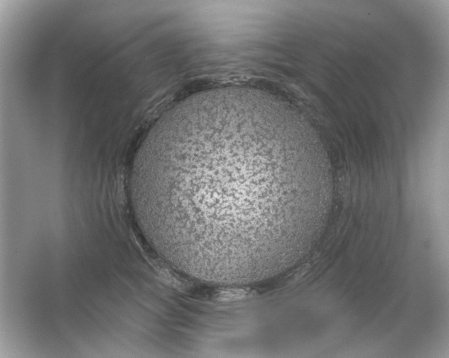 X0000065970757200603241913