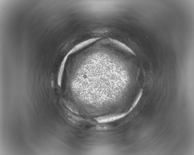 X0000065970758200603241913